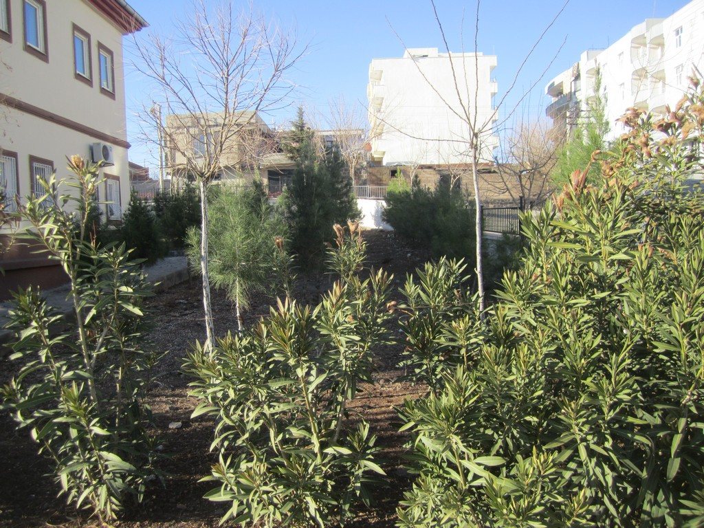 Merkez bahçe alanı